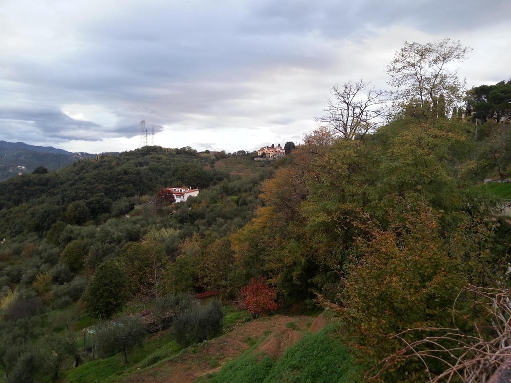 Gli Aceri B&B Arcola Luaran gambar